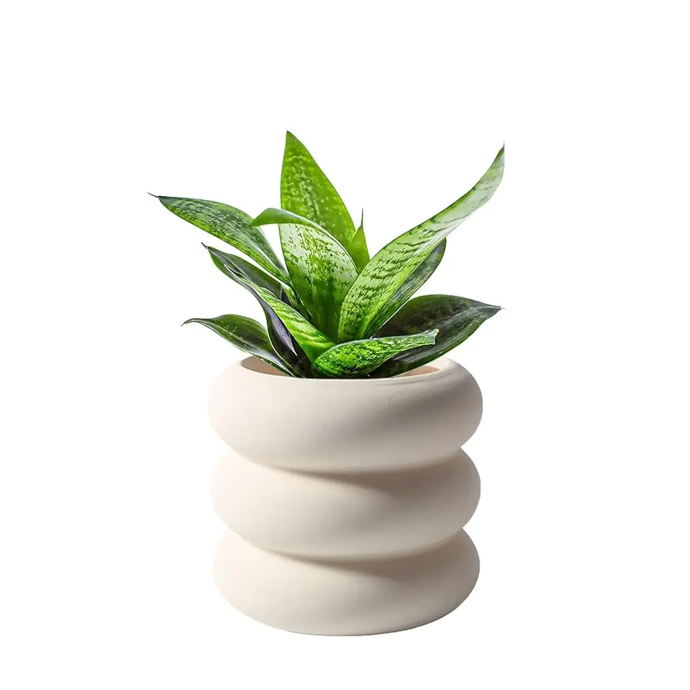 

Керамический горшок для растений, 4,5 дюйма, бежевый, неглазурованный, с дренажным отверстием, маленький керамический кашпо с пузырьковым дизайном для дома