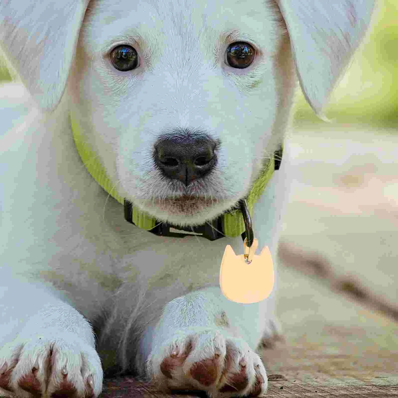 Pet ID Blank Engraved Tag Tags Dog Engraving Blanks Collar with Name for Pets Cat Anti-lost Puppy