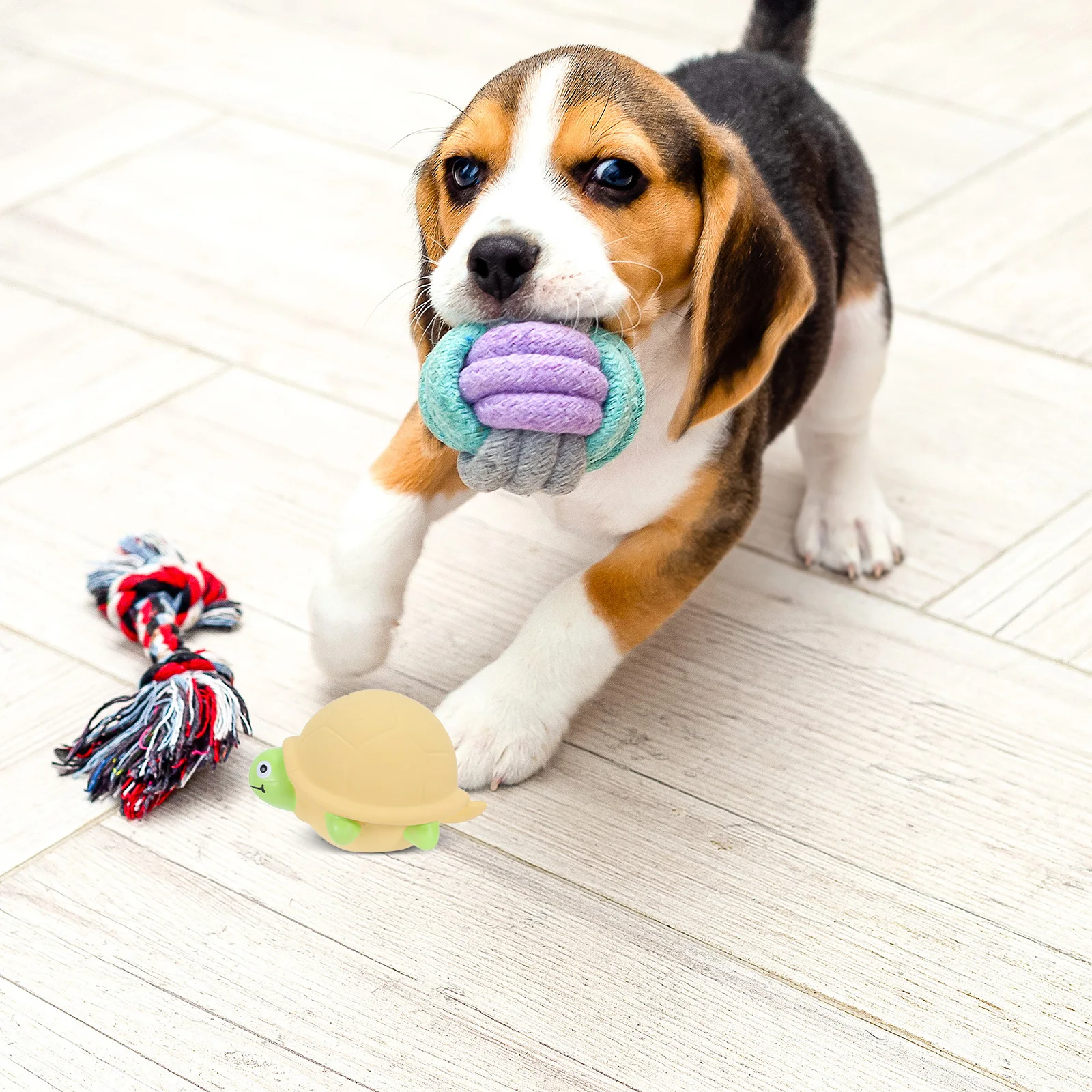 

Squeaky Turtle Dog Latex Interactive Play Chew Gift for Small Breed Puppies Funny Cartoon Pet Enrichment Stress Relief Indoor