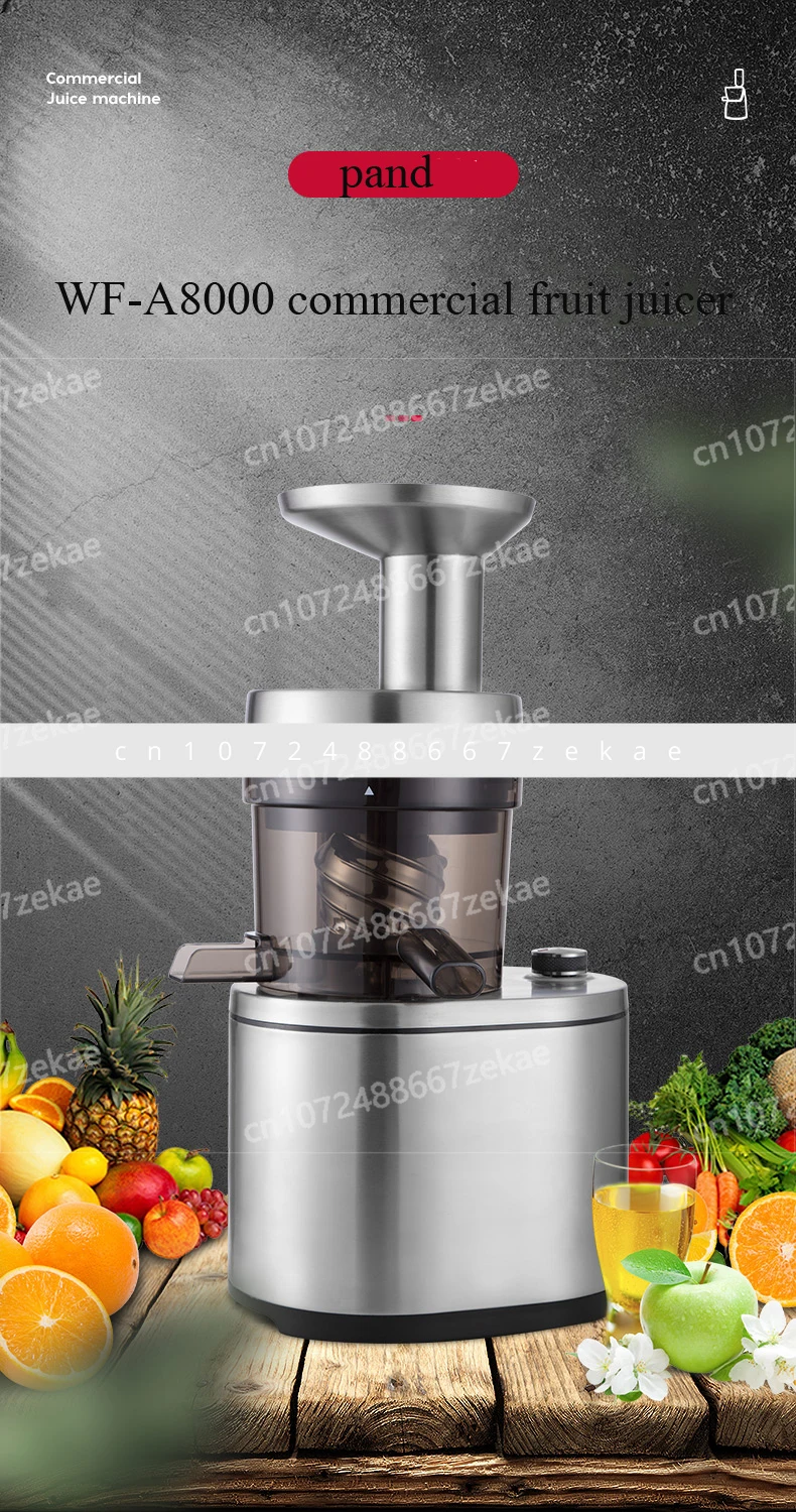 Cheap Vegetable and Fruit Commercial Slow Juicer