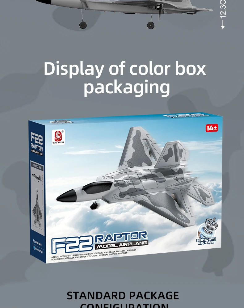 BM31 F22 Brushless RC Fighter 2.4G 4CH Remote Control Airplane EPP Foam Electric Model 490MM Biger Glider Toys for Adults