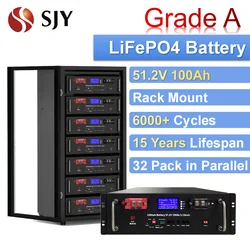 51.2V 100Ah LiFePO4 Powerwall Solar Lithium Battery for Hybrid Home Energy Storage System