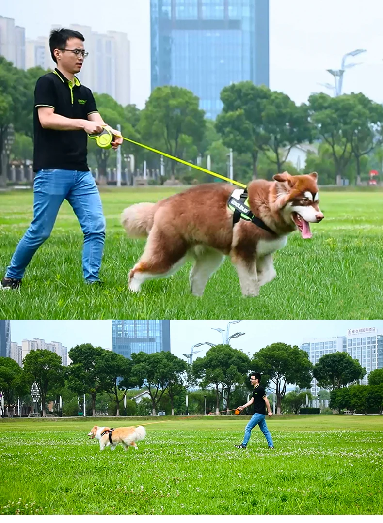 5m Luxus Haustier Hund Leinen einziehbare Hunde leine für große mittlere Hunde Katze Welpen Zubehör kleine automatische Verlängerung Lanyard – Detail 4