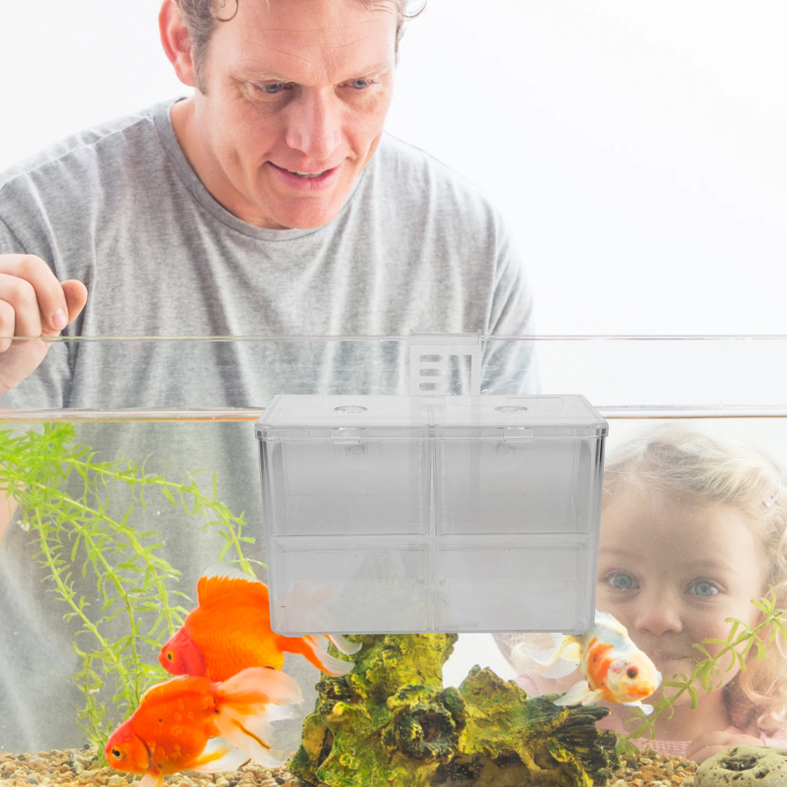 

Hook Hatching Box Aquarium Fish Egg Incubator Spawning Isolated Rooms Transparent Acrylic Tank Breeding Case for Small Pregnant