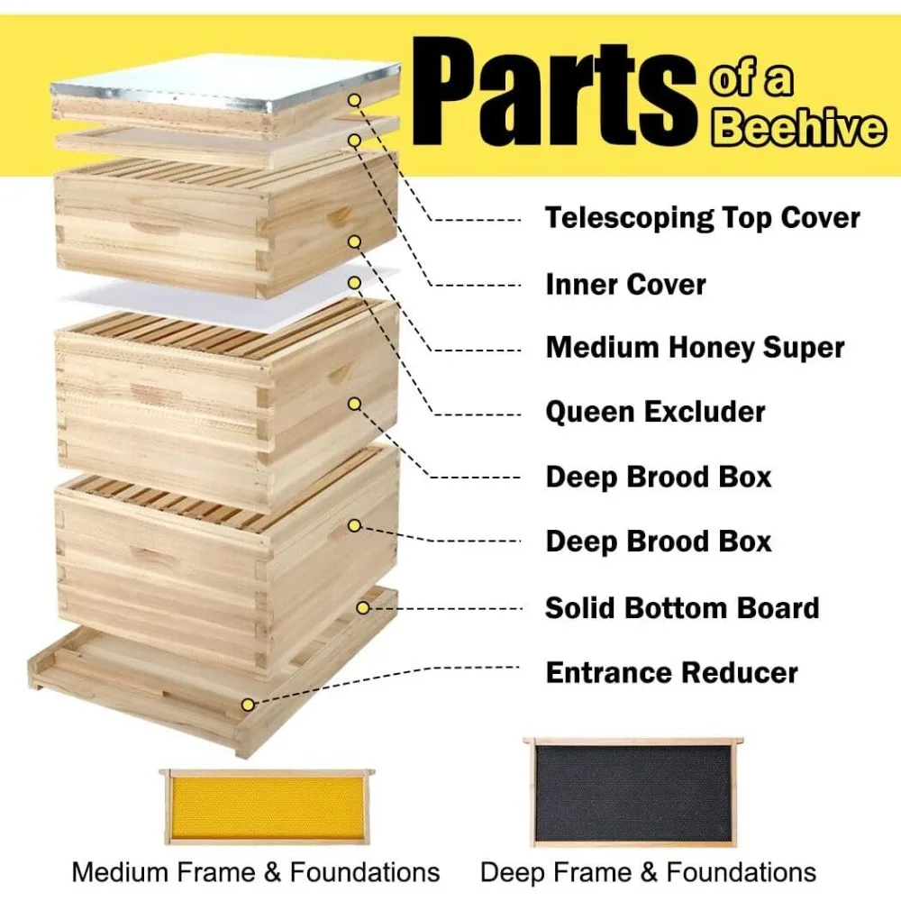 10-Frame Complete Bee Hives and Supplies Starter Kit,Beehives for Beginners with Beehive Frames and Waxed Foundations