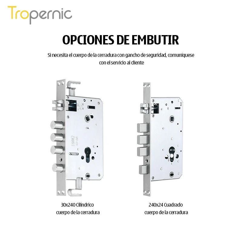 Local Stock Cerradura Digital Inteligente Smart Lock Door Facial Recognition Camera Security Lock Unlock Door With app