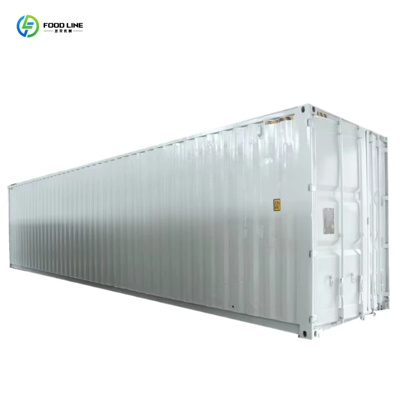 Container Block Ice Machine Salt Water Direct Cool Plant with Engine Gear for High Density Ice Storage