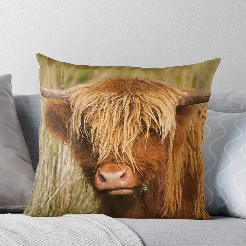 

Highland cow Throw Pillow Sofa Cushions Cushion Covers For Living Room Sofa Pillow Cover Throw Pillow Covers