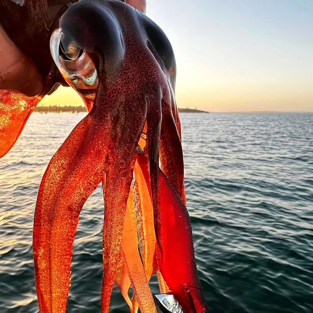2.5# Squid Lure UV Reflective Jigging Lures Slow Sinking Squid Hooks Sea Fishing Octopus Cuttlefish Luminous Sea Fishing Bait view 6