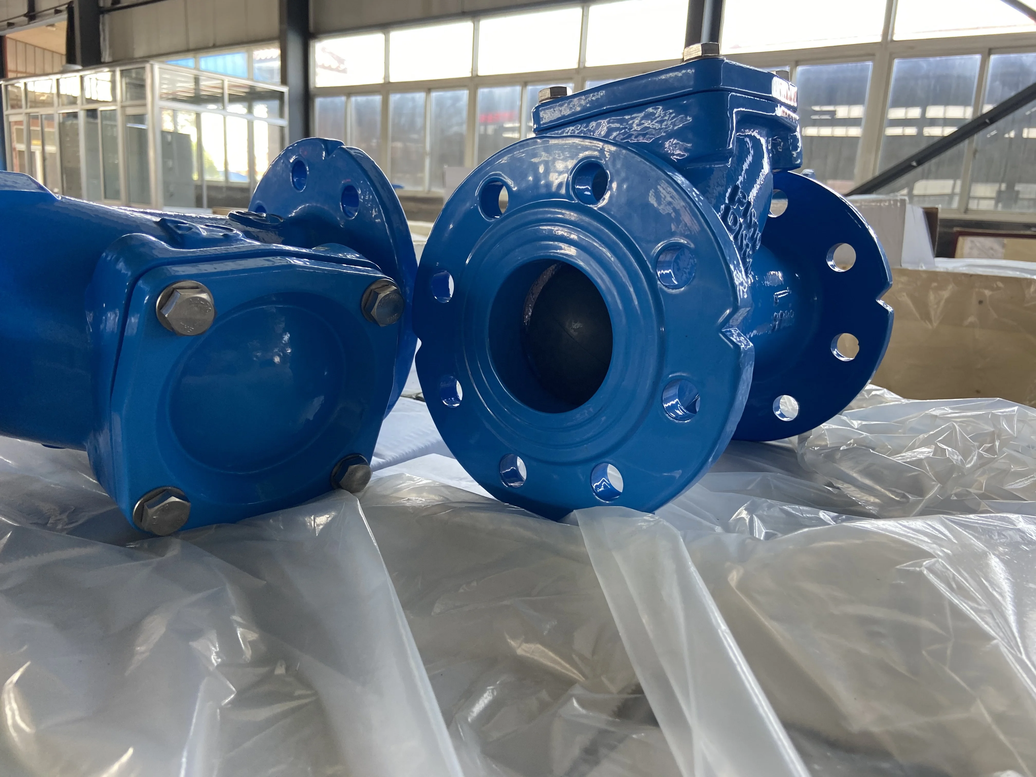 Ductile Iron Flange Ball Check Valve For Sewage Water Suppliers