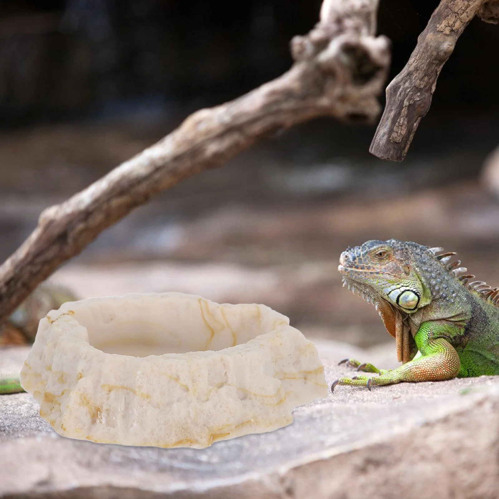 

Resin Reptile Water Bowl Natural Rock Look Feeding Dish for Bearded Dragon Leopard Gecko Tortoise Snake Habitat Accessory