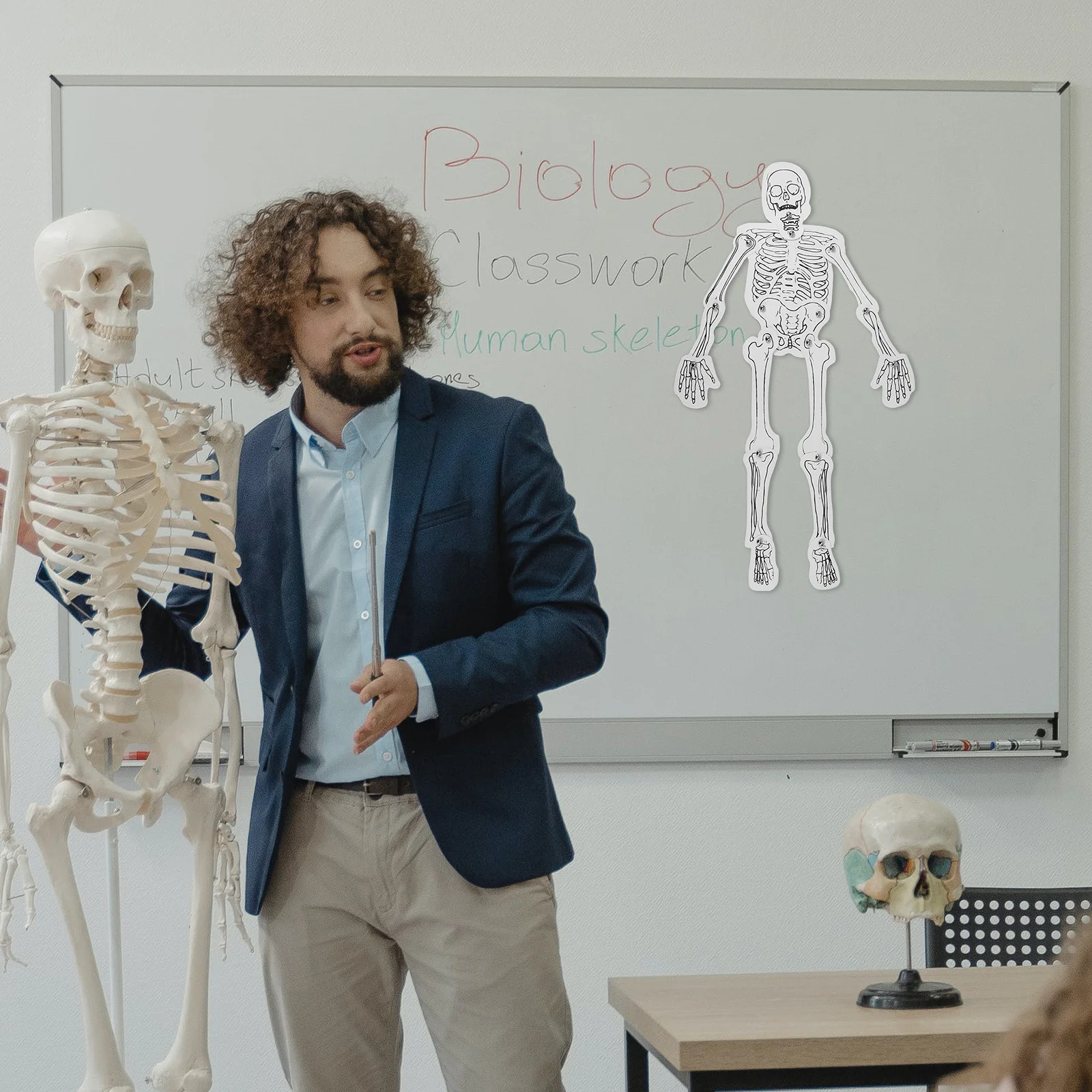 

Assembly Human Learning Kit - Portable Science Education Resource for Classroom Exhibitions and Biology Projects