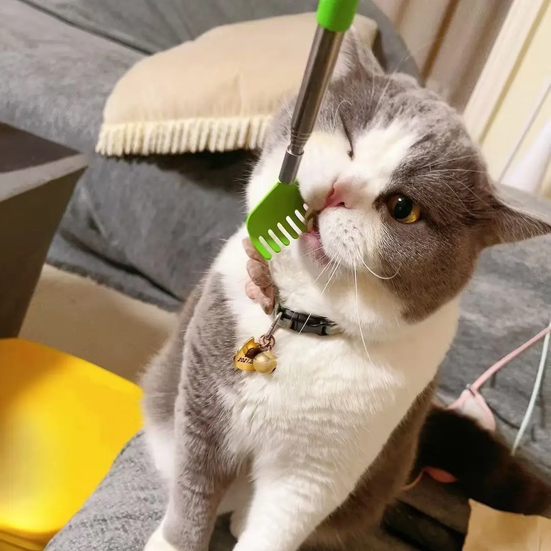 Cat Toy Retractable Slong Pole Massage Scratcher Comb Interactive Teasing Pet Toy Indoor Outdoor Cat Supplies Accessories
