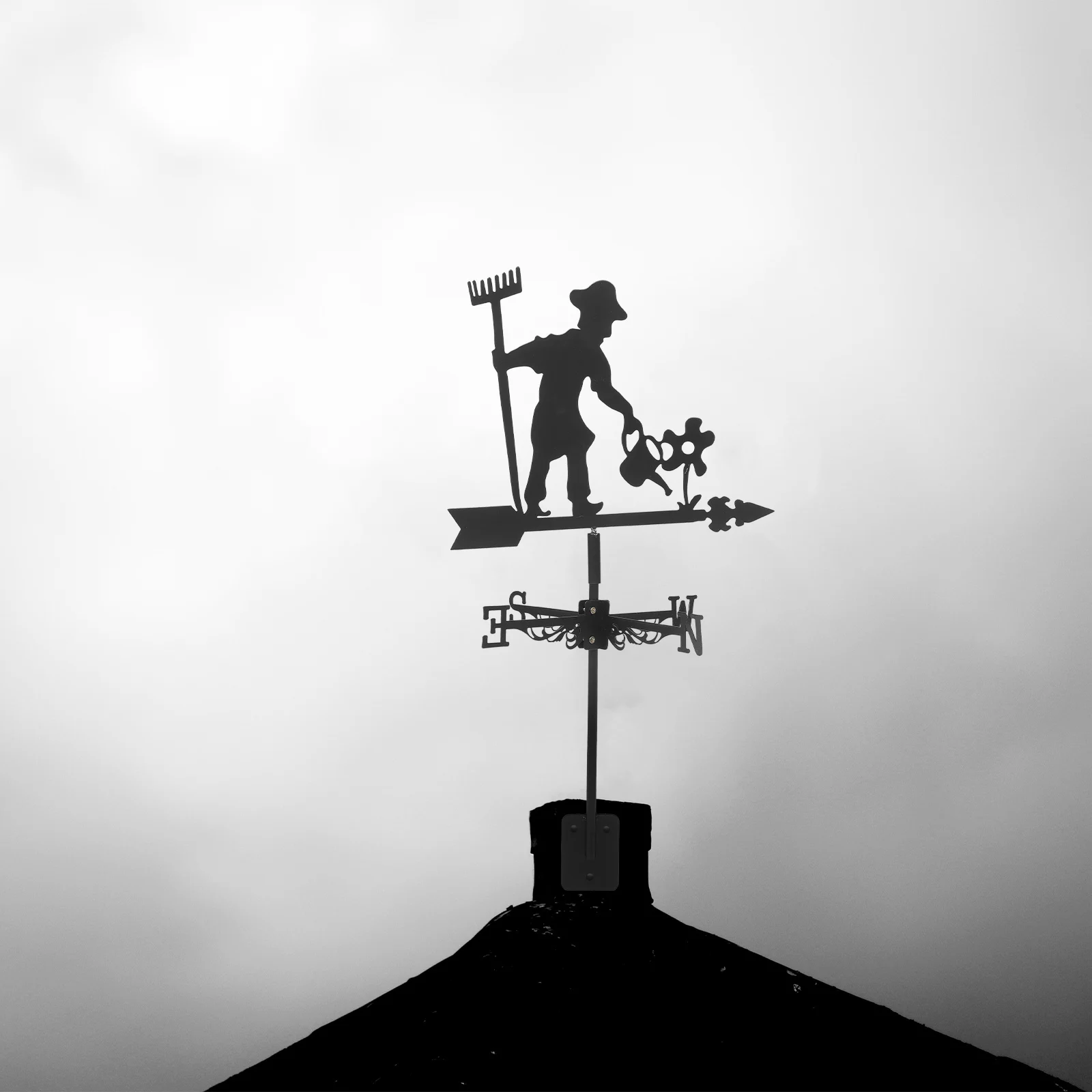 

Флюгер Iron Art Реалистичный винтажный дизайн Прочное крепление Индикатор направления ветра Декор для патио Метеостанции