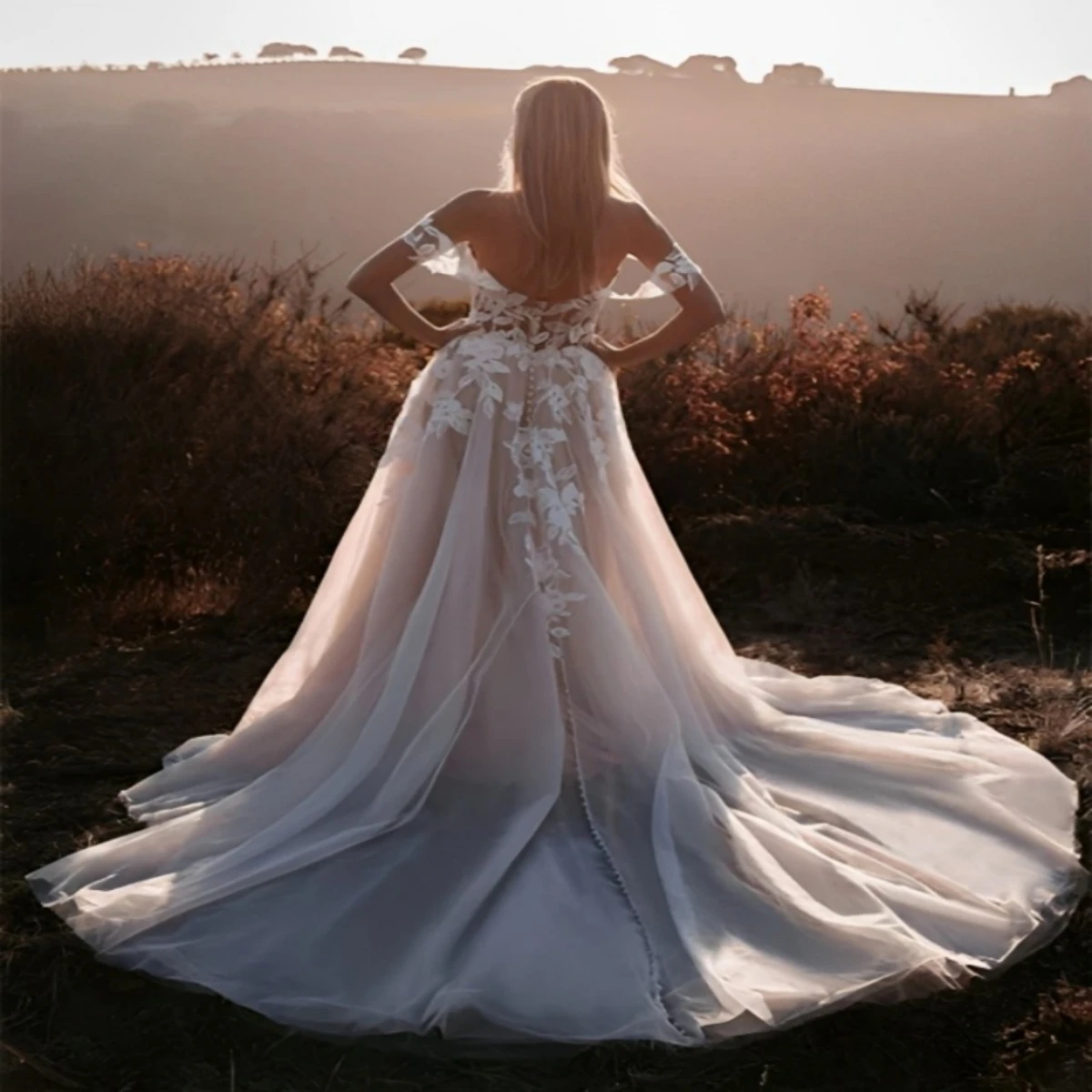 

Luxury Lace Appliques Wedding Dresses Sexy Sleeveless For Women Sexy Backless Cut Out Bridal Gowns A-Line Sweep Allure Bridals