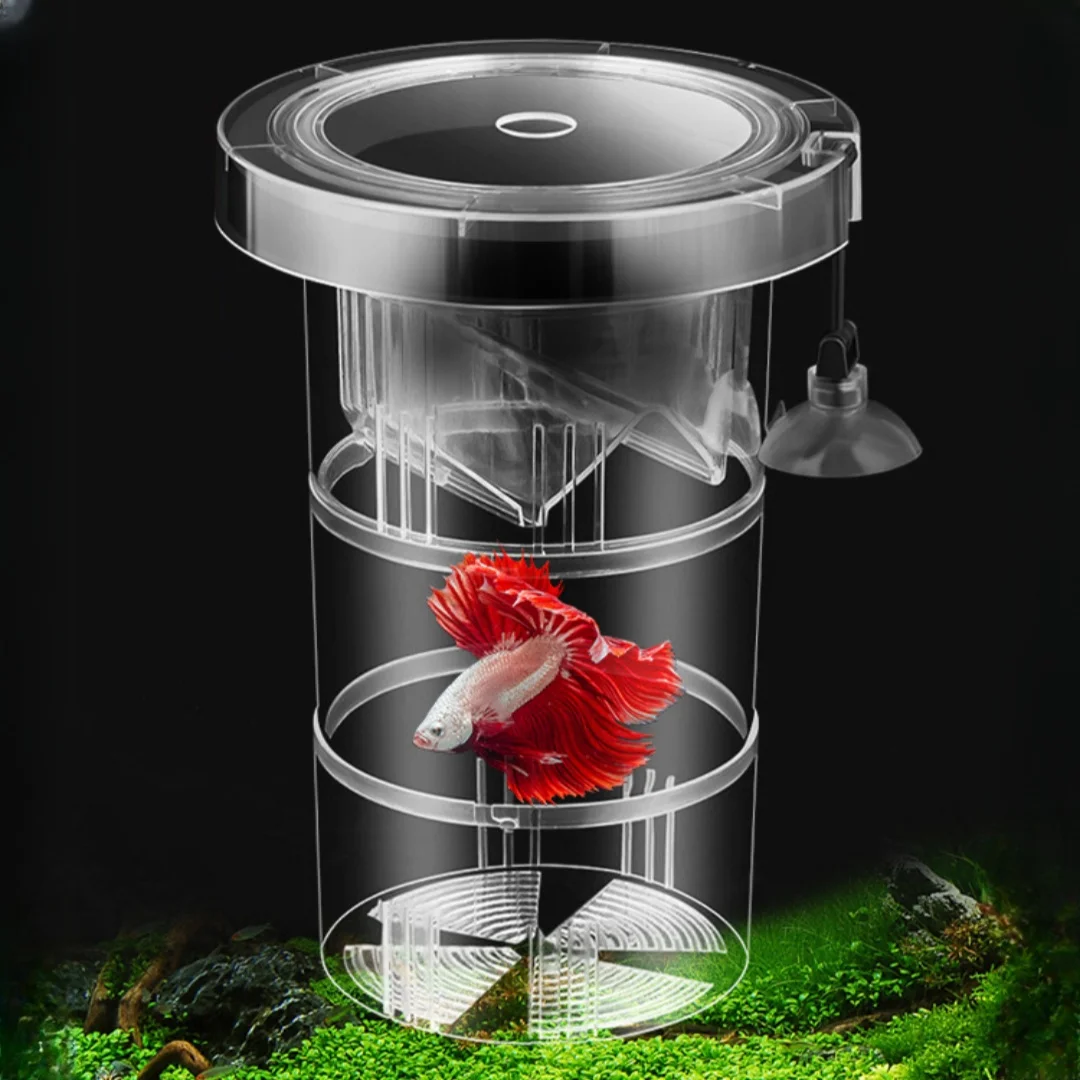 Boîte d'isolation flottante en acrylique pour élevage de poissons, mangeoire pour élevage d'aquarium, incubateur à couver, accessoire d'éclosion d'aquarium