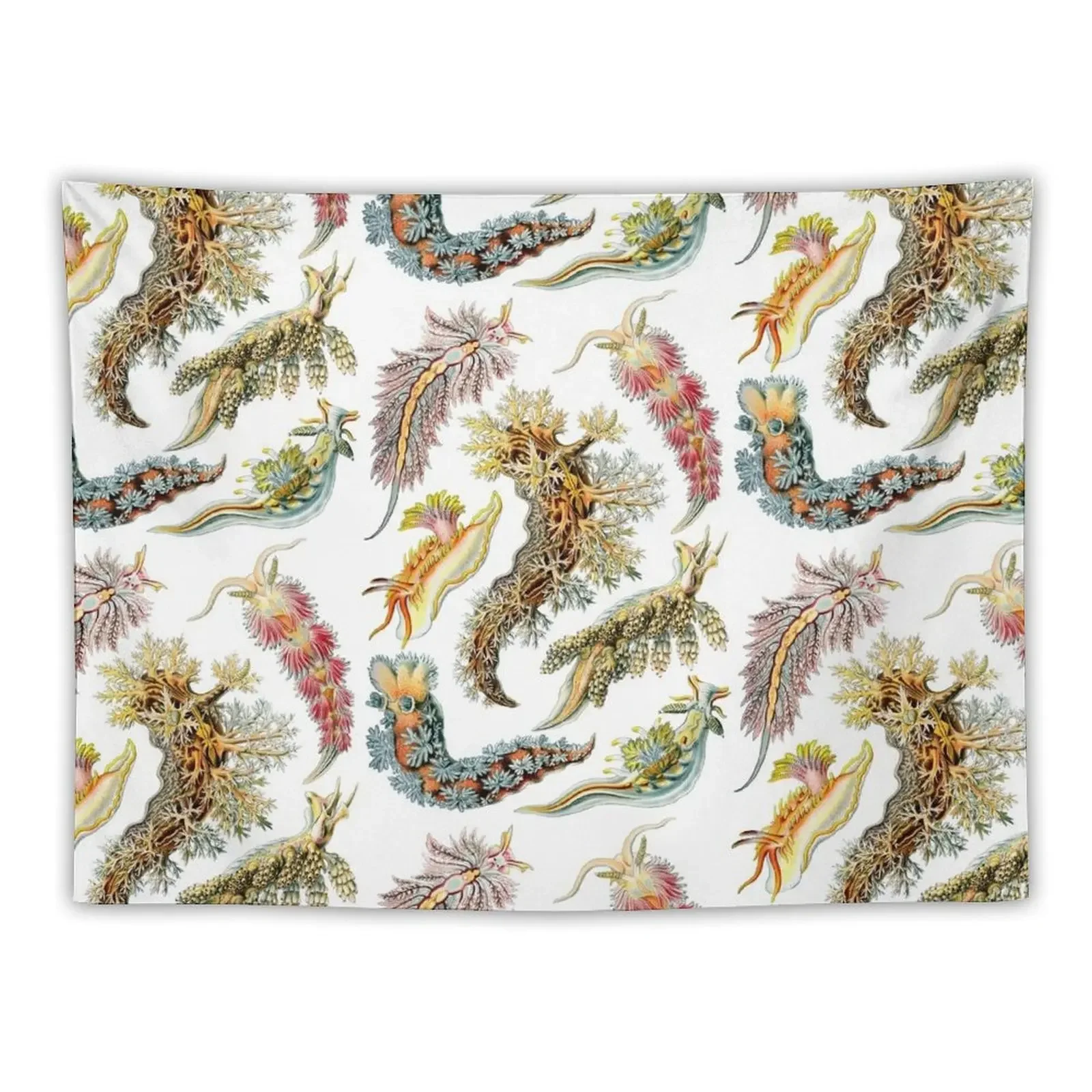 

Ernst Haeckel - Nudibranchia (Snails) Tapestry Hanging Wall Aesthetic Room Decor Tapestry