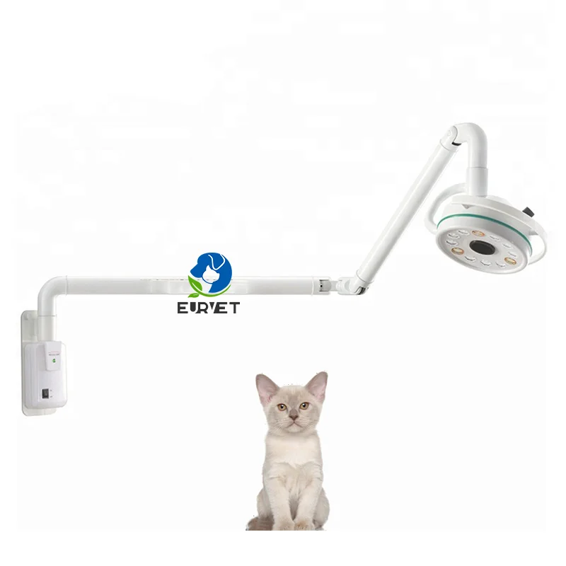 Dealer Price Cheap Medical Vet Clinic Led Wall Mounted Head Uv Lamp Medical on Sales