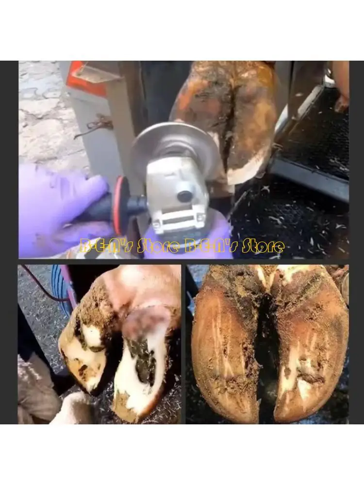 Y1AD Livestock Hoof Trimming Disc Plate Hoof Trimming Discs Hoof Grinding Discs Claws