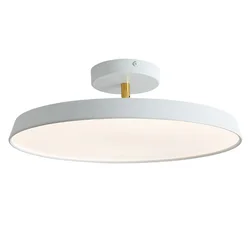 Nordic Macaron Influencer Ceiling Lamp For Living Room Bedroom Home Decor Remote Control Aluminum Ultra-thin Lighting Luminaire