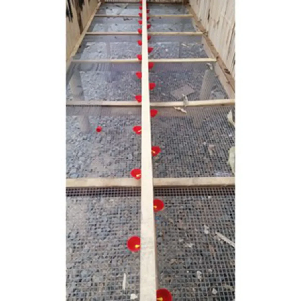 

Аксессуары, новинка, поилка для курицы, поилка для птицы, куриный крикет, чашка для питья, держатель для фермы, попугаи, домашнее животное