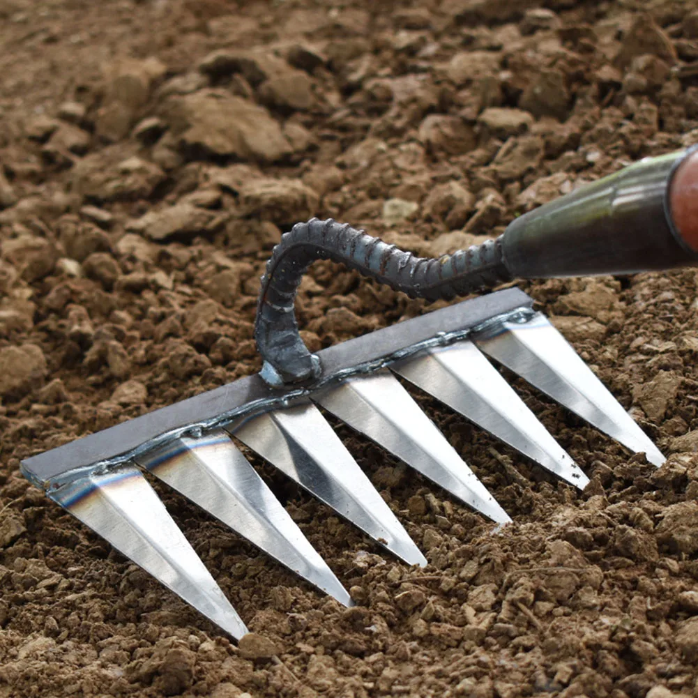 Imagem -03 - Dente Nail Harrow Aço Weeder Solo Solto Sharp Garden Hand Rake Tool Jardinagem Durável Weeding Rake Ferramentas Agrícolas