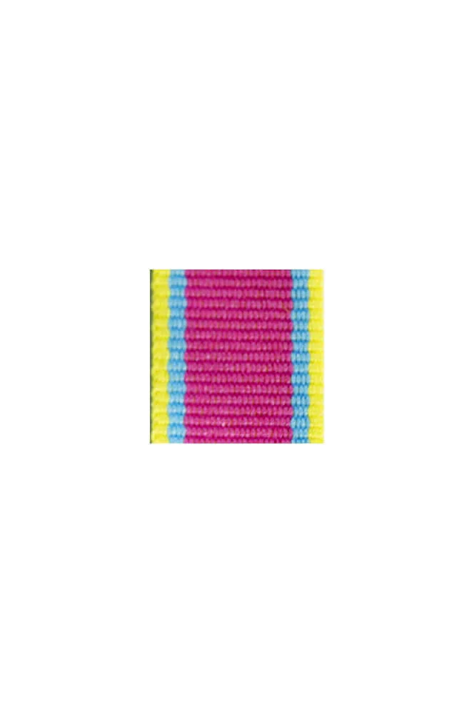 GMKA-184 WWII German Mecklenburg Long service award ribbon bar's ribbon