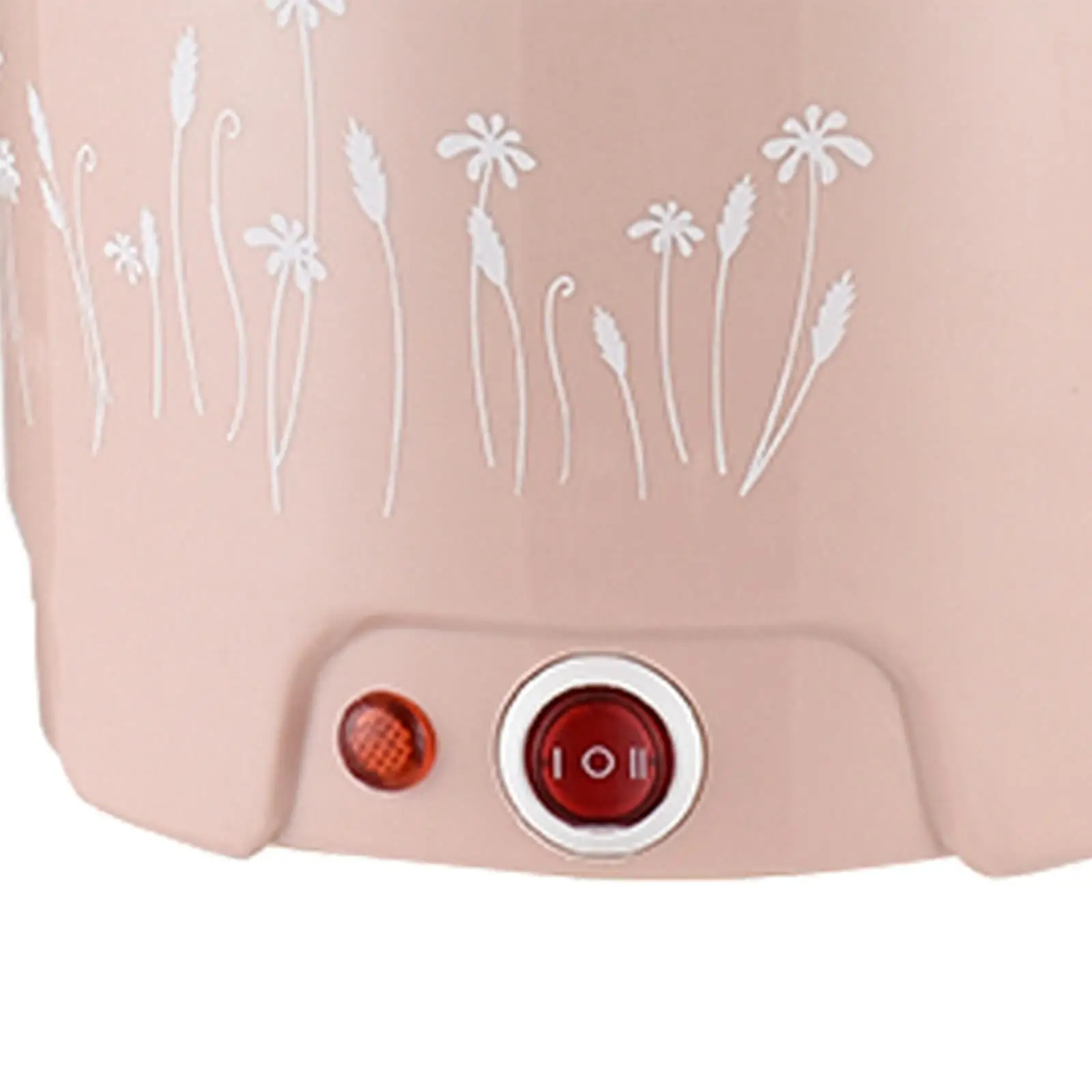 Hot Pot Electric Nonstick Multipurpose Cooking Pot Electric Ramen Cooker Electric Cooker for Eggs Cooking Porridge Soup Dumpling