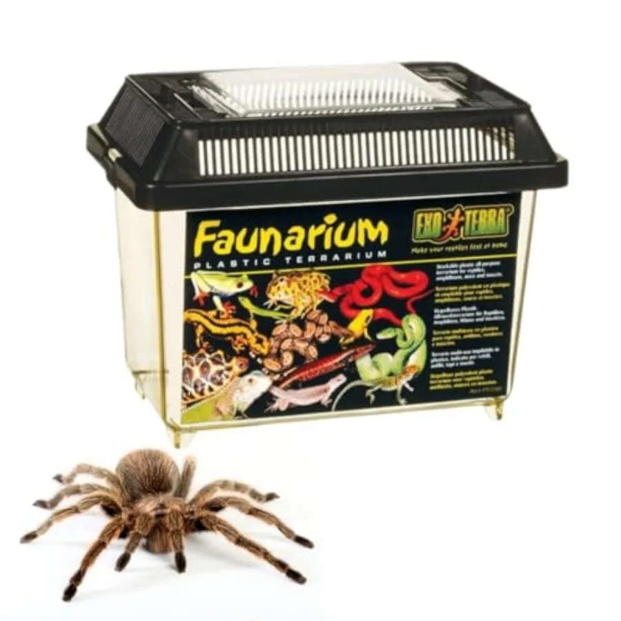 

Faunarium PT2255 Plastic Reptile Terrarium and Transport Container for Lizards, Spiders and Amphibians