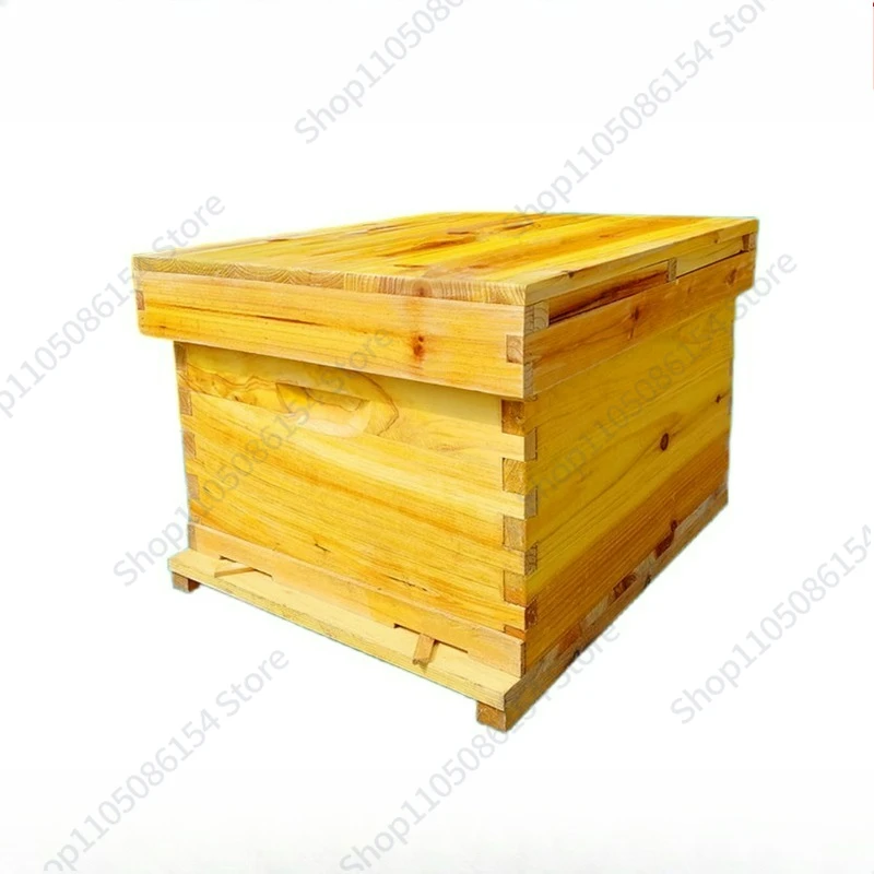 Bee Hive In Bee Box…