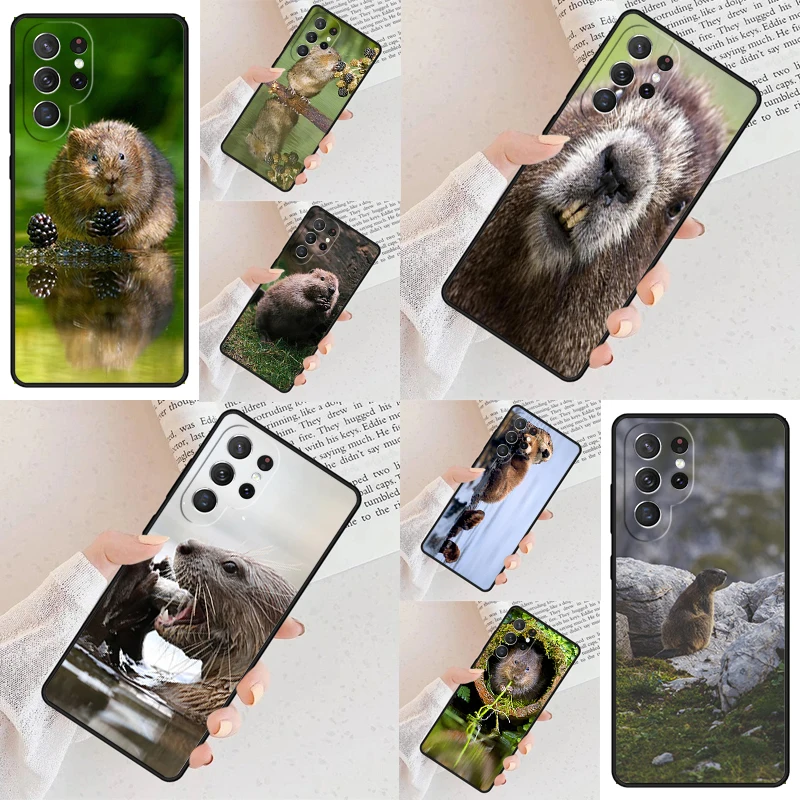 

Animal Beaver Phone Case For Samsung S24 S25 Galaxy S23 S22 S21 Note 10 20 Pro S20 Plus FE Ultra lite Cover