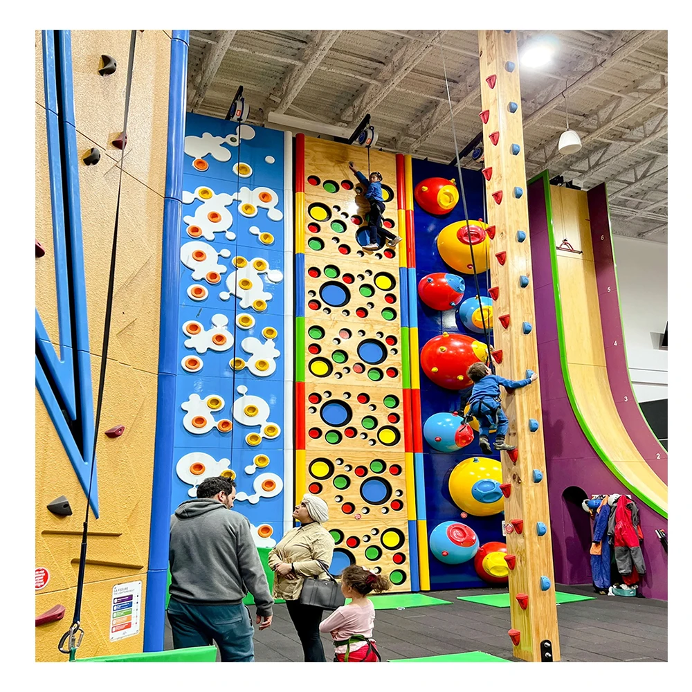 

Popular Kids Climbing Wall Rock Indoor Amusement Equipment Indoor Climbing Wall With Descending Device by Zhongyi Amusement