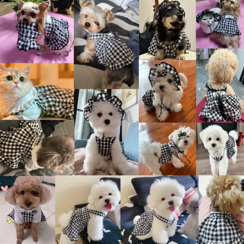Luxury Dog Clothes Summer Puppy Dress Pet Plaid Suspender Skirt Hat Vest Set Chihuahua Bichon Yorkie Kitten Dog Costumes 2024