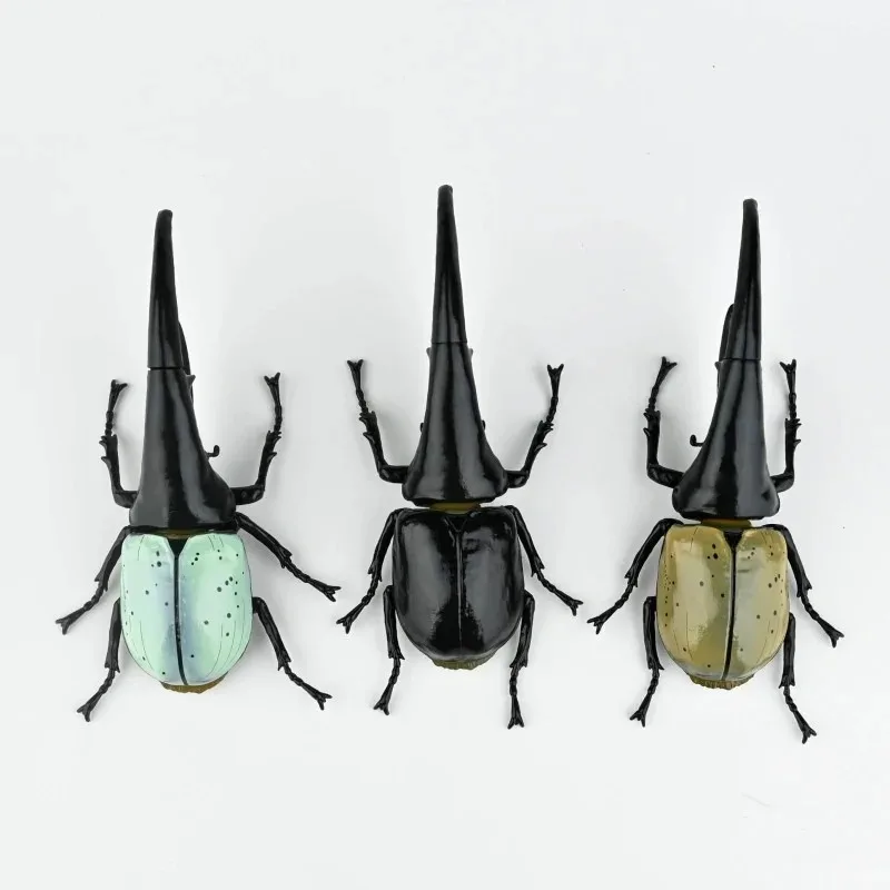 

In Stock Japan So-Ta Gashapon Cute 1/1 Artificial Insect Japanese Rhinoceros Beetle Kawaii Figurine Toys Gift