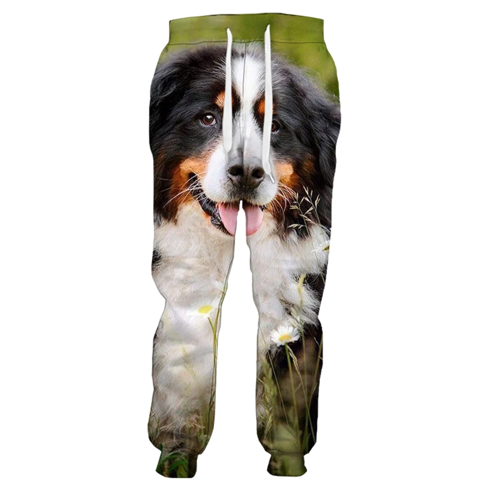 

HX Mens Pants Animals Bernese Mountain Dog 3D Printed Trousers Casual Sweatpants Joggers Men Clothing Ropa De Hombre