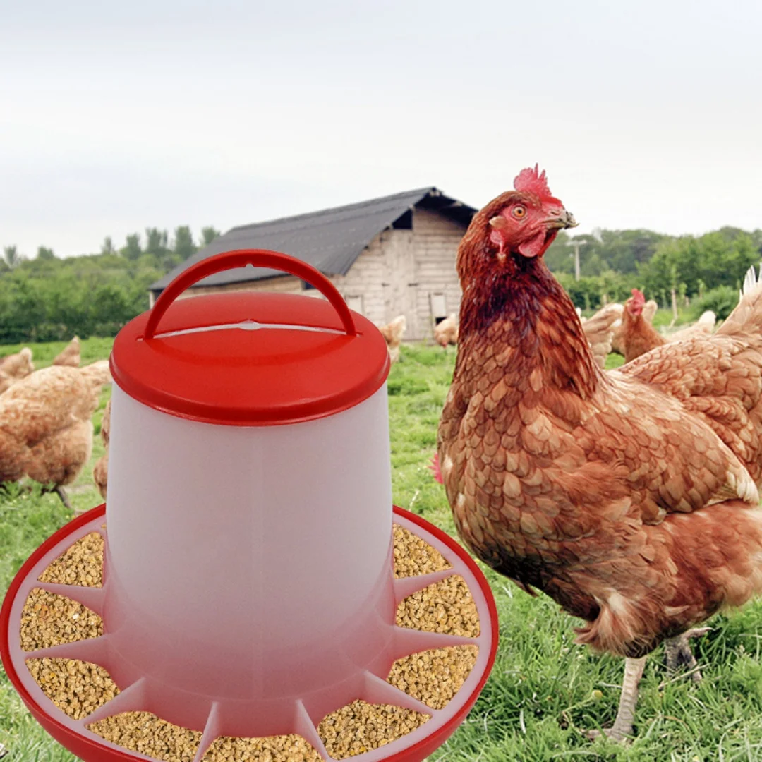 Thumbnail 2 - #27 Compare Automatic Livestock Feeders Before You Buy