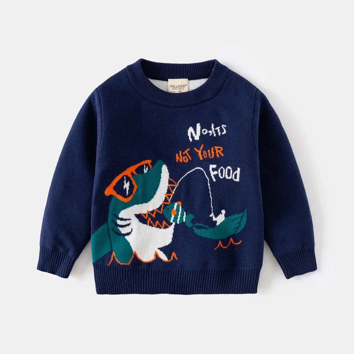 New 2024 Autumn Winter Baby Boys Warm Pullover Sweater Kids Cartoon Whale Shark Pattern Knitwear Sweaters Tops Casual Clothing