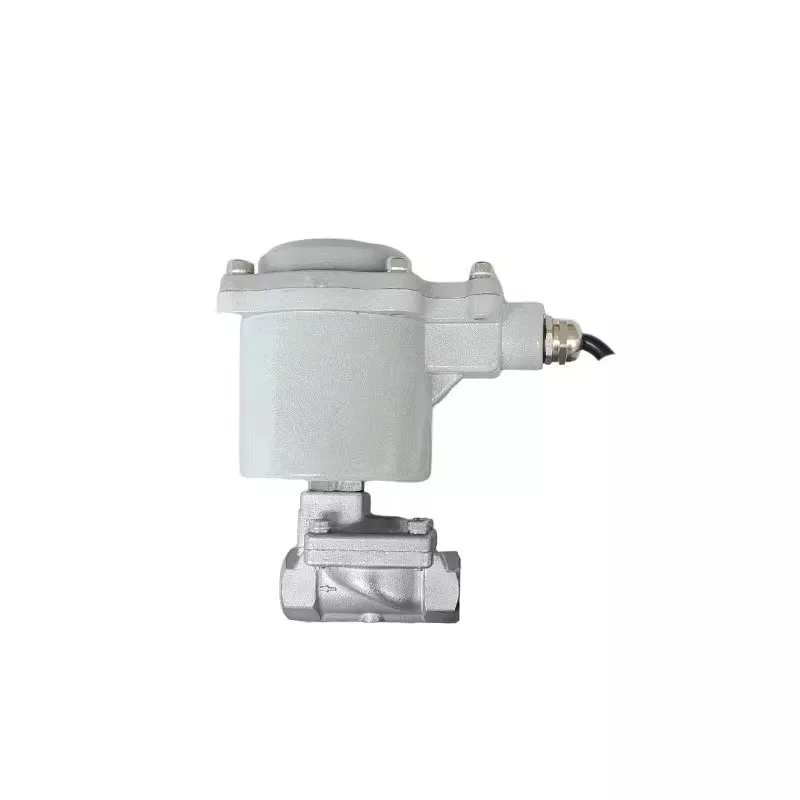 

Explosion-proof pilot diaphragm type stainless steel 304 internal thread wire buckle solenoid valve Nitrogen gas