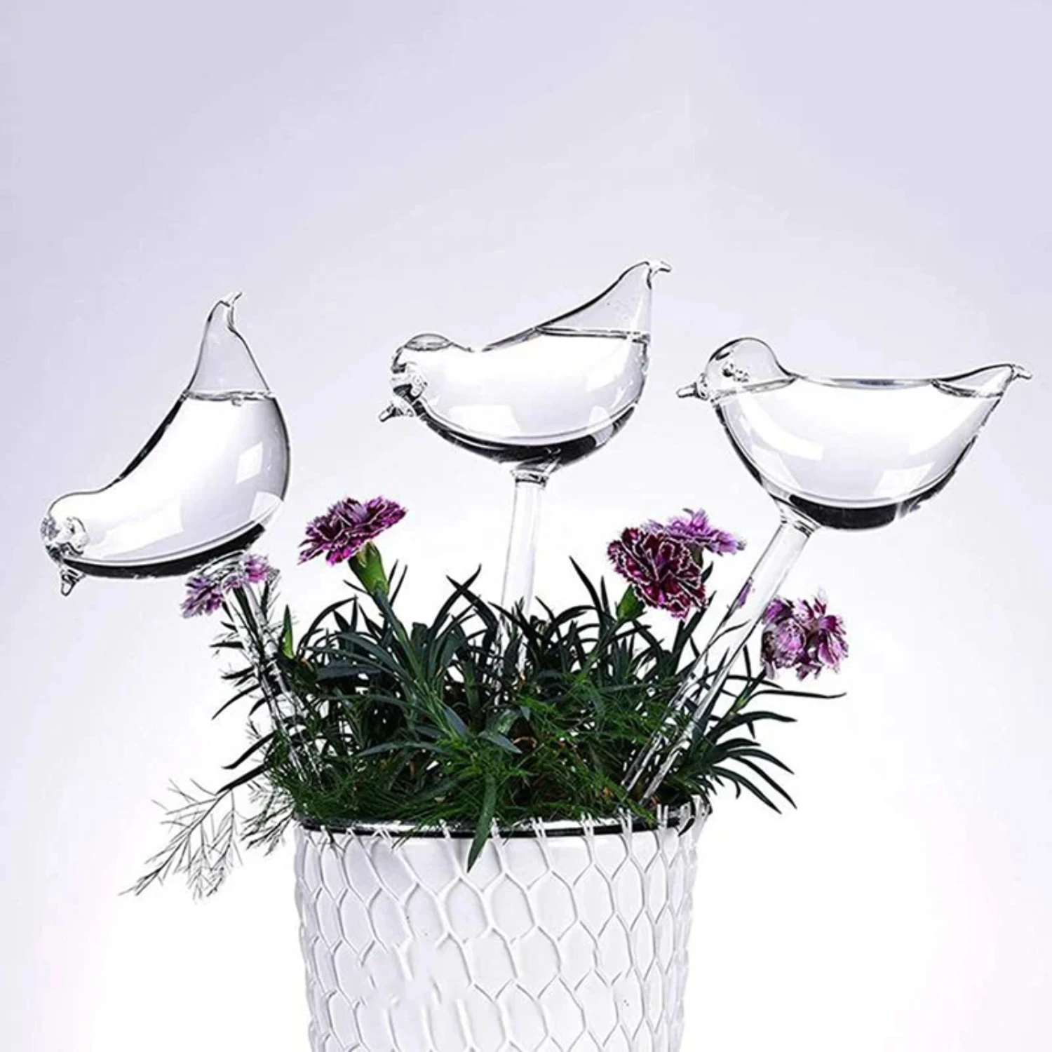 

Self Watering Automatic Plant Watering Bulbs with Bird Shape Water Device for Drip Irrigation System in Garden - Ideal for Flowe