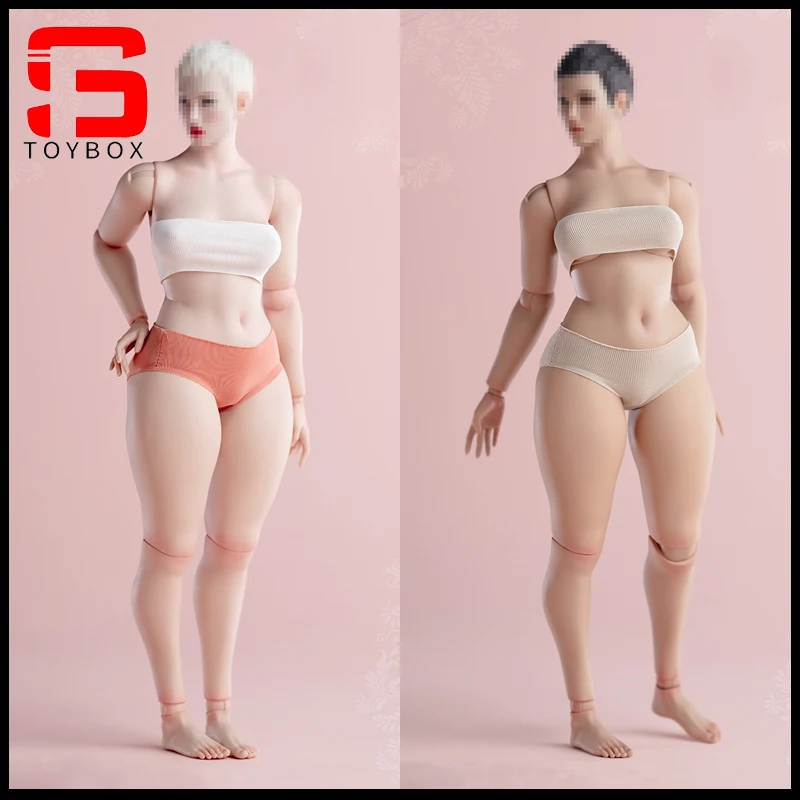 

【2025 Q4】Worldbox AT218 1/6 Scale The Body of Plus-size Girl 27.5cm Female Pale Light Tan Articulated Action Figure Dolls