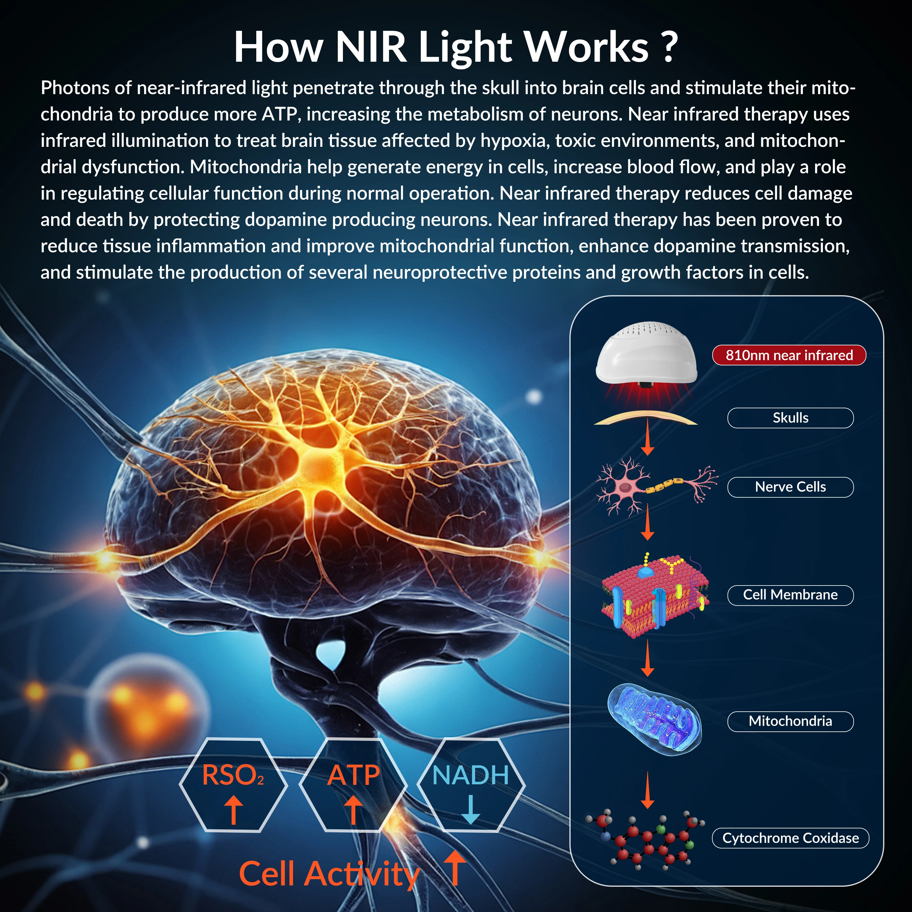 ZJZK Brain Fog Fix Infrared Led Gifts For Parkinson Patients 810nmx280diodes Traumatic Brain Injury Traumatic Brain Injury