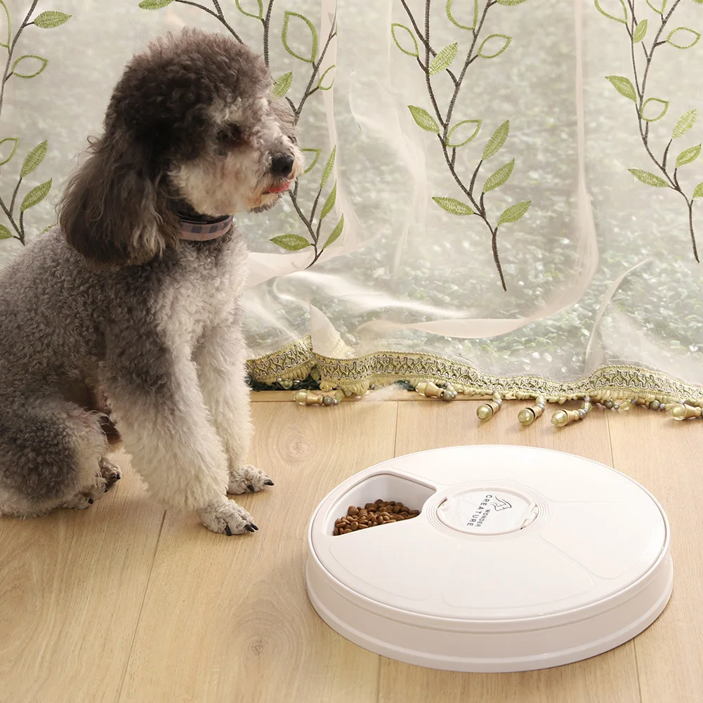 Wholesale Six-Hole Smart Timing Feeder Timing Quantitative Tableware Automatic Pet Feeder