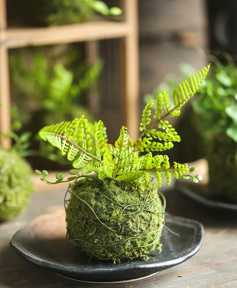 1PCS Fern leaf small grass ball simulation moss landscape decoration ornament simulation green plant decoration ornament