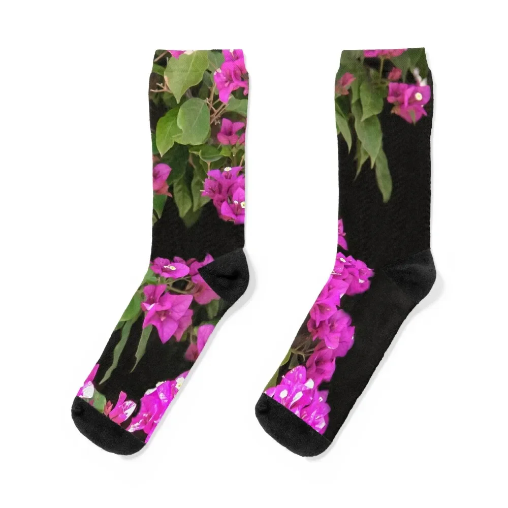 

Bougainvillea Socks with print Non-slip Run Men's Socks Luxury Women's