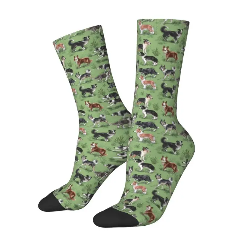 Kawaii Druck Kawaii Border Collie Hund Socken für Männer Frauen Stretch Sommer Herbst Winter Pet Tier Crew Socken