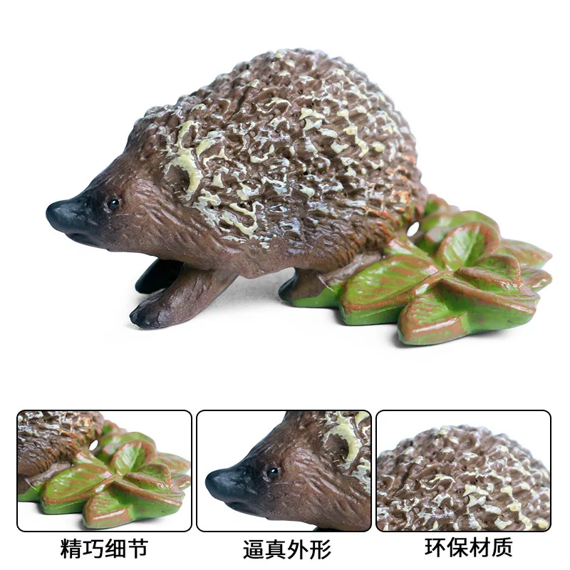 Wild animal model jungle hedgehog hedgehog mouse children science and education solid simulation model toy decoration