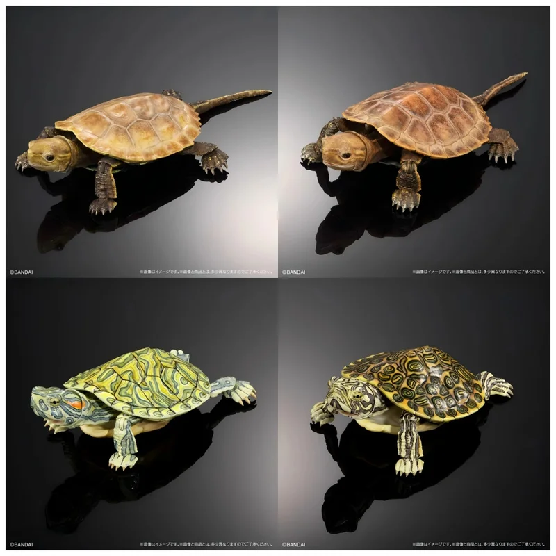 

[In Stock] Official Bandai Bnadai 'Ultimate Creature Encyclopedia Turtle P2' - Red-Eared Slider & Painted Turtle Gashapon Real