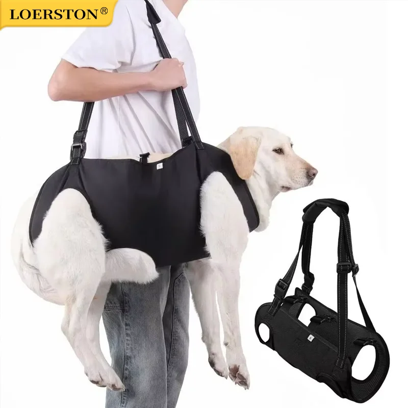 #87 Best Dog Harnesses to Buy In 2026
