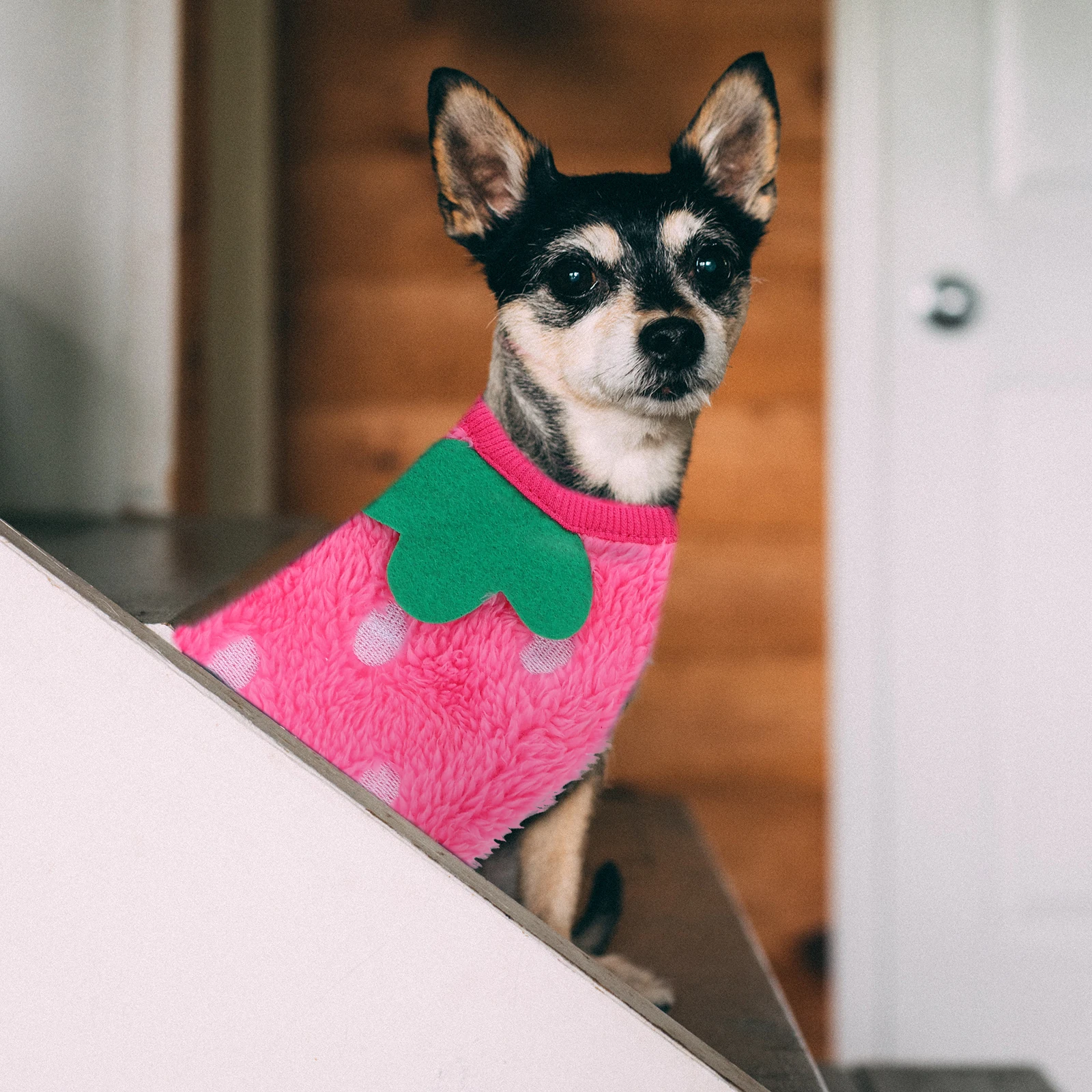 

2Pcs Pet Dog Clothes Fashion Unique Style Bright Coral Fleece Puppy Warm Breathable Clothes Small Dogs Apparel Coats