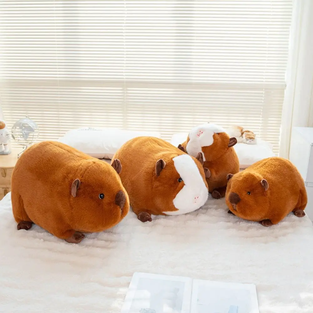 

Kawaii Cartoon Dutch Pig Plush Doll Fluffy Soft Cavy Plush Toy 25/34cm Simulation Guinea Pig Fluffty Doll Birthday Gift